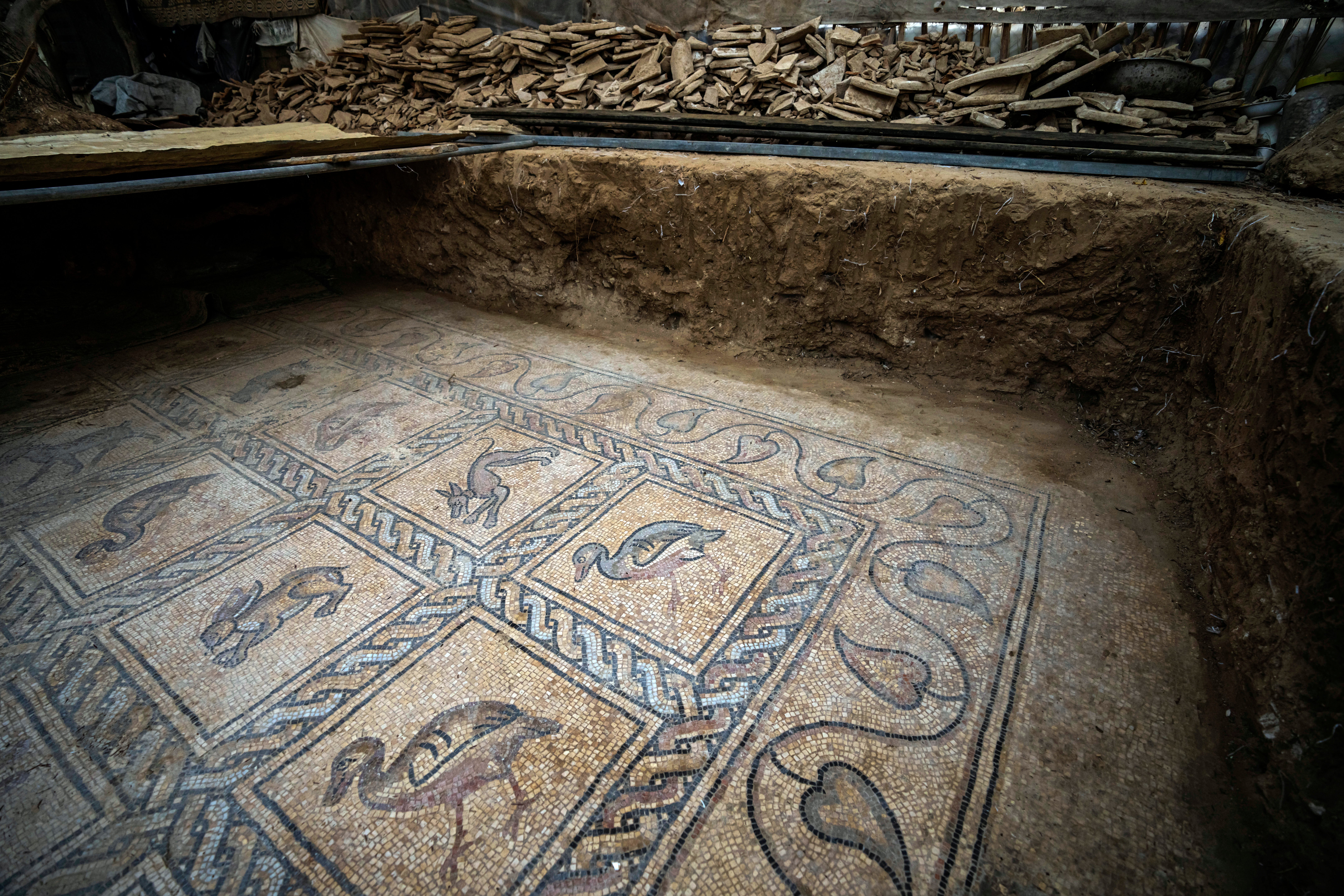 Gaza Ancient Mosaic