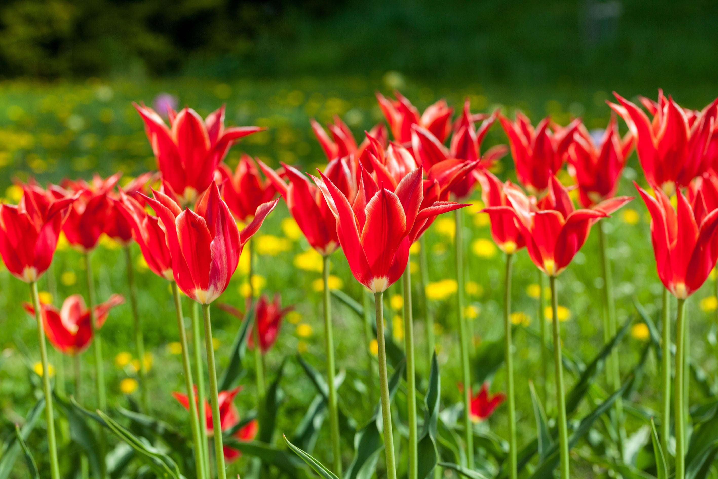 6 Things To Do Now To Get Your Garden Ready For Autumn