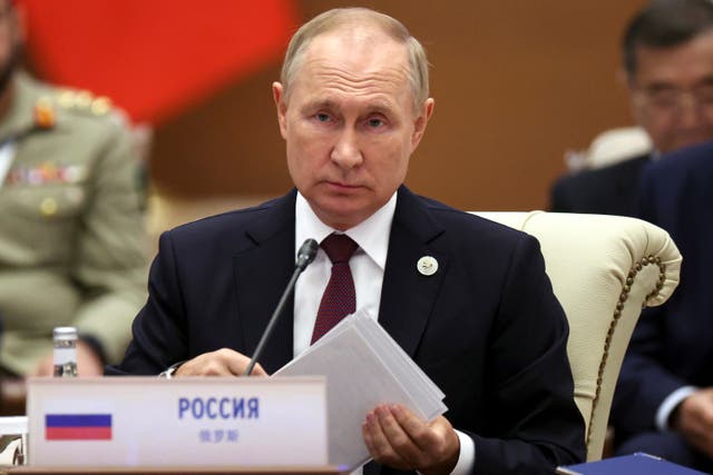 <p>Vladimir Putin has made strategic errors, it is claimed </p>