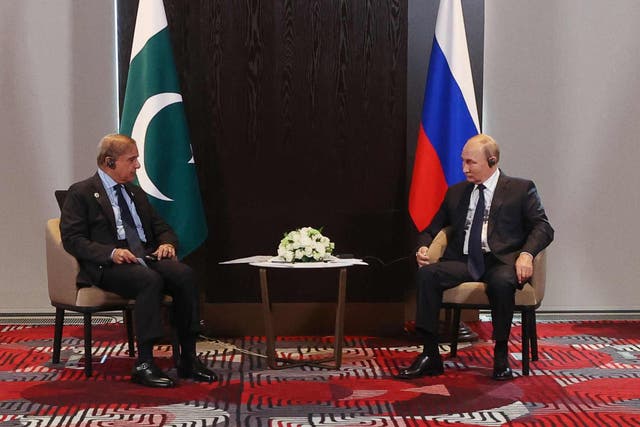 <p>Russian President Vladimir Putin meets with Prime Minister of Pakistan Shehbaz Sharif </p>