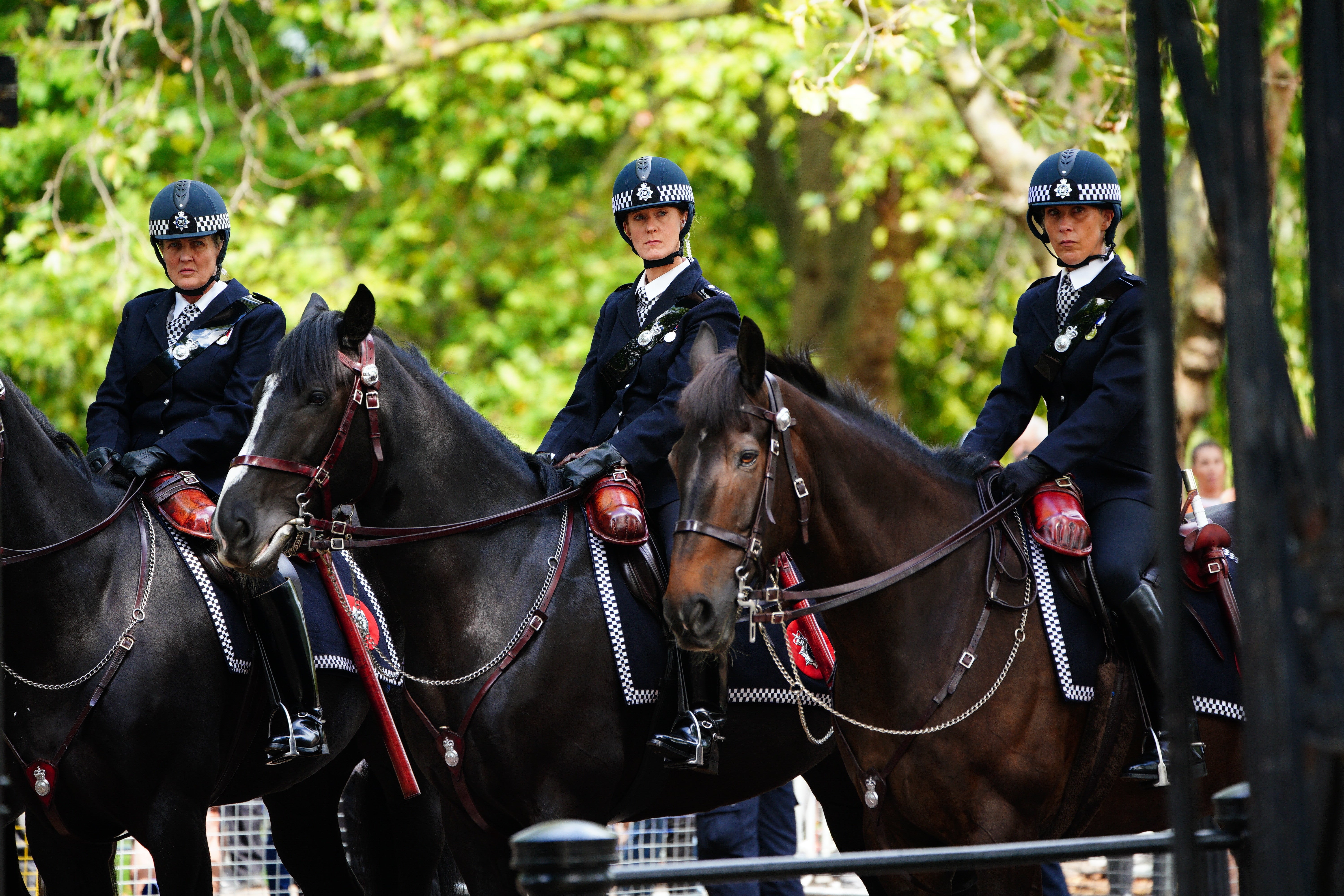 Specialist teams involved in the operation include mounted officers (PA)