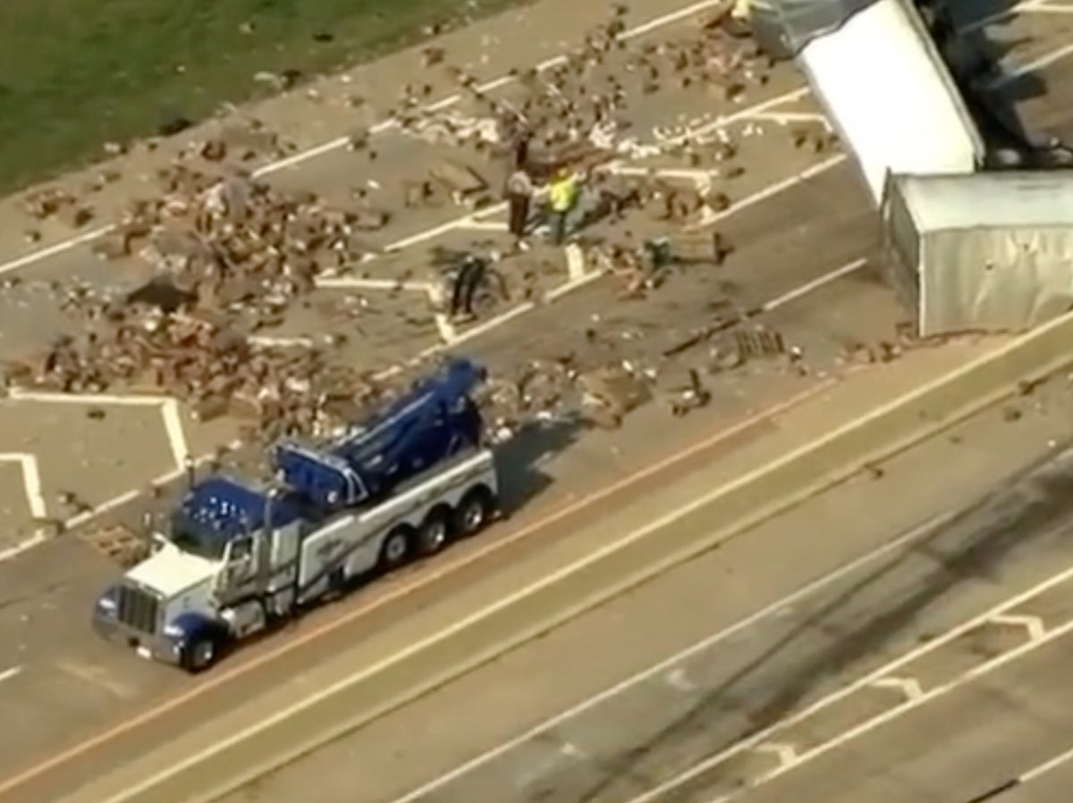 Dildos and lubricant appear to spill from truck following US highway crash