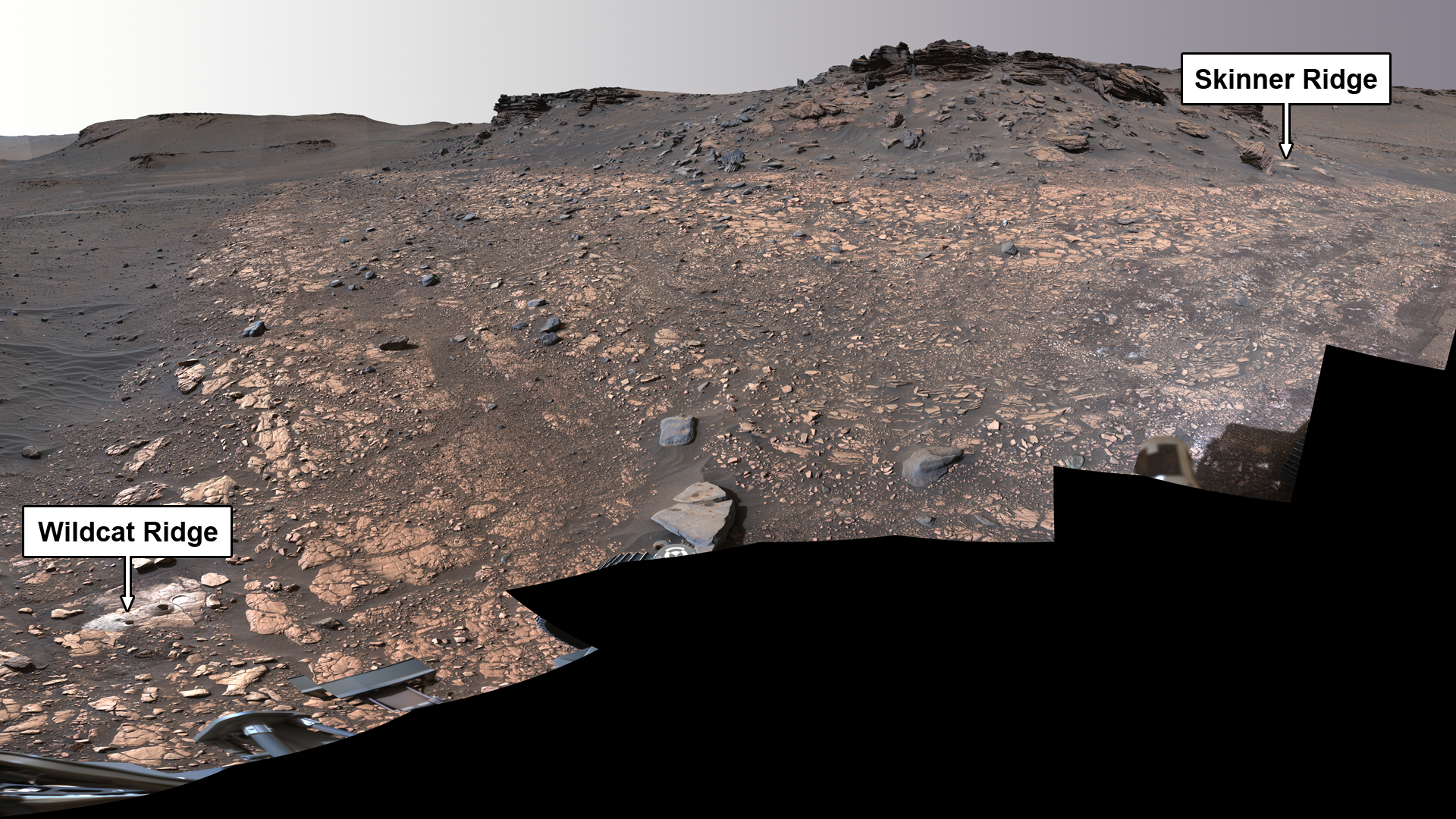 Two rocks sampled by Nasa’s Perseverance rover, Wildcat Ridge and Skinner Ridge, may probe to be the most valuable samples of the mission so far.