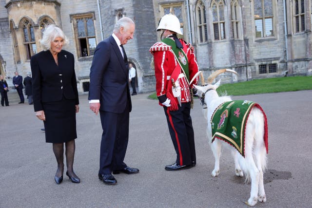 King Charles III and the Queen Consort meet Sheinkin IV, goat mascot for the Royal Welsh Third Battalion at Cardiff Castle in Wales (Chris Jackson/PA)