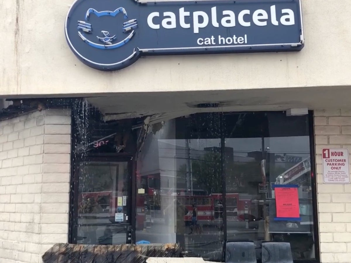Seventeen cats killed at Los Angeles pet hotel after blaze tears through strip mall