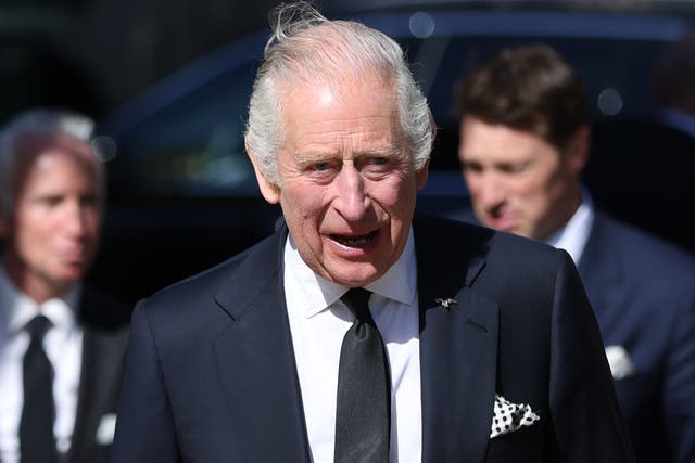 <p>Prince Andrew and Prince Harry could lose their ‘stand-in status’ if the King decides to amend the law</p>