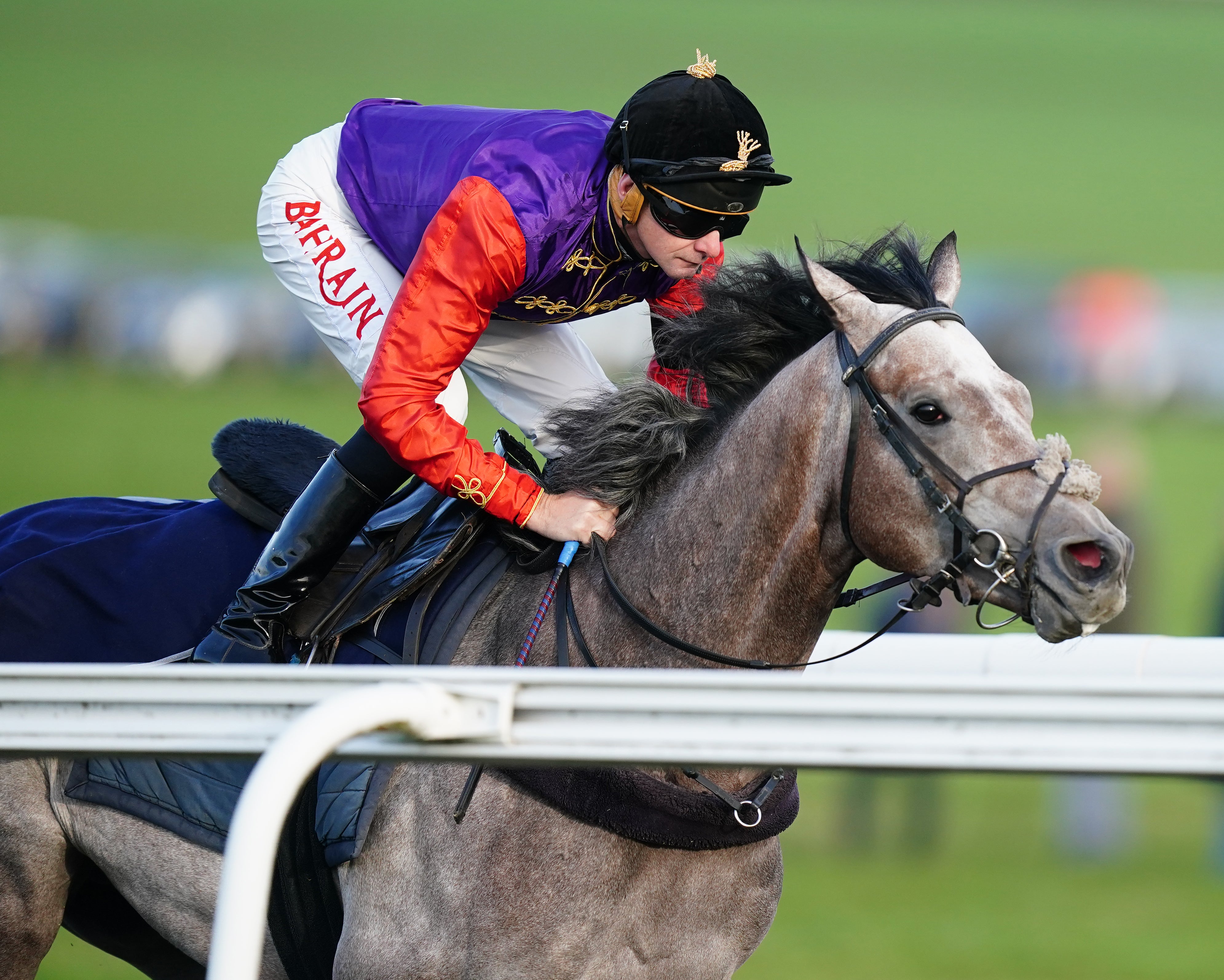 Her horse Saga was also ridden at the racecourse (Mike Egerton/PA)