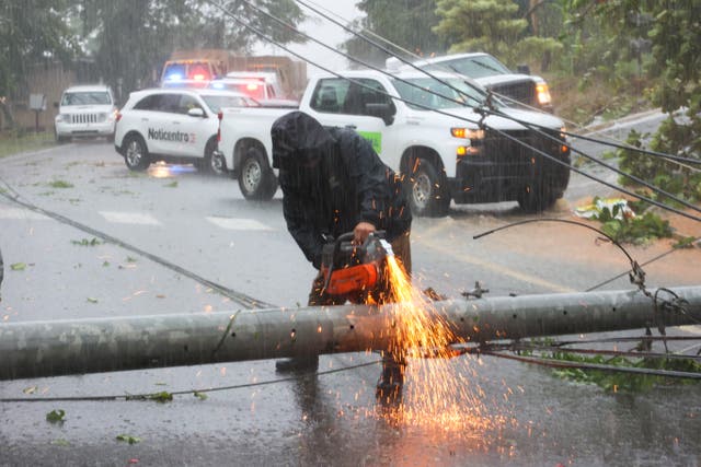<p>A worker cuts an electricity pole that was downed by Hurricane Fiona as it blocks a road in Cayey, Puerto Rico, Sunday, 18 September 2022</p>