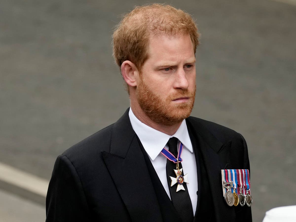 Prins Harry vreesde dat hij ‘irrelevant’ zou worden nadat prins George 18 werd, beweert een nieuw boek