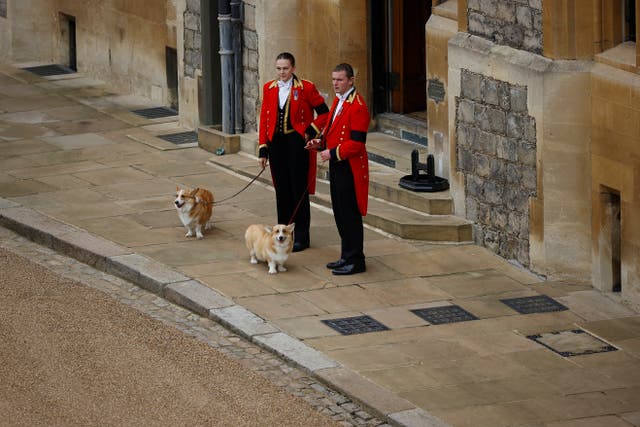 <p>The Queen’s corgis were spotted waiting for the coffin to arrive at St George’s Chapel in Windsor </p>