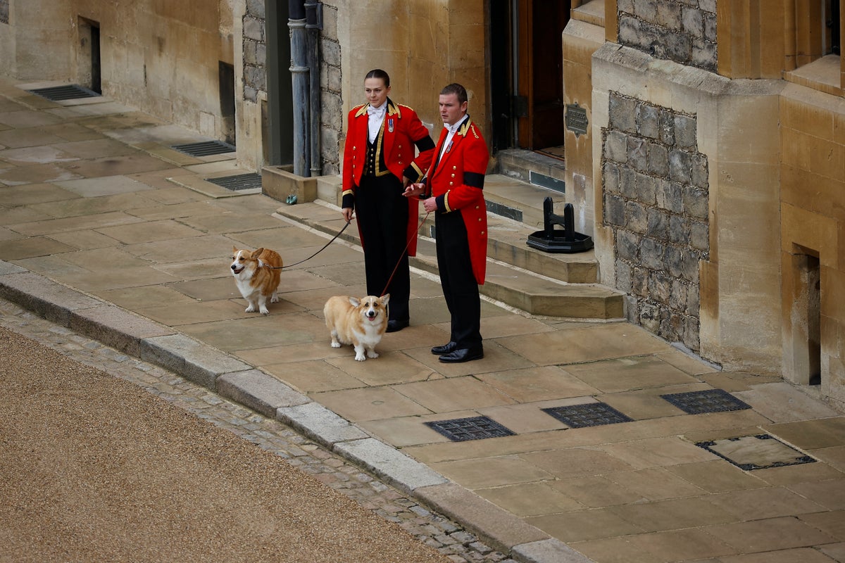 Queen’s corgis Sandy and Muick wait for coffin to arrive at Windsor Castle