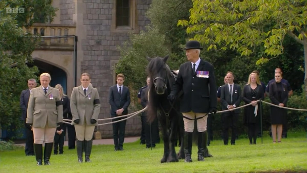 Queen’s pony watches funeral procession march through Windsor Castle grounds