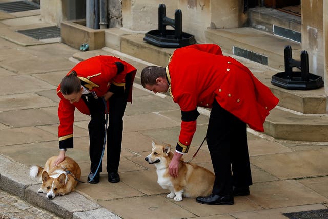 Los dos corgis de la Reina, Muick y Sandy durante la procesión (Peter Nicholls/PA)