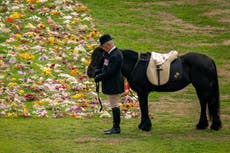 Queen’s beloved horse Emma wears late monarch’s scarf as she bids farewell at Windsor Castle
