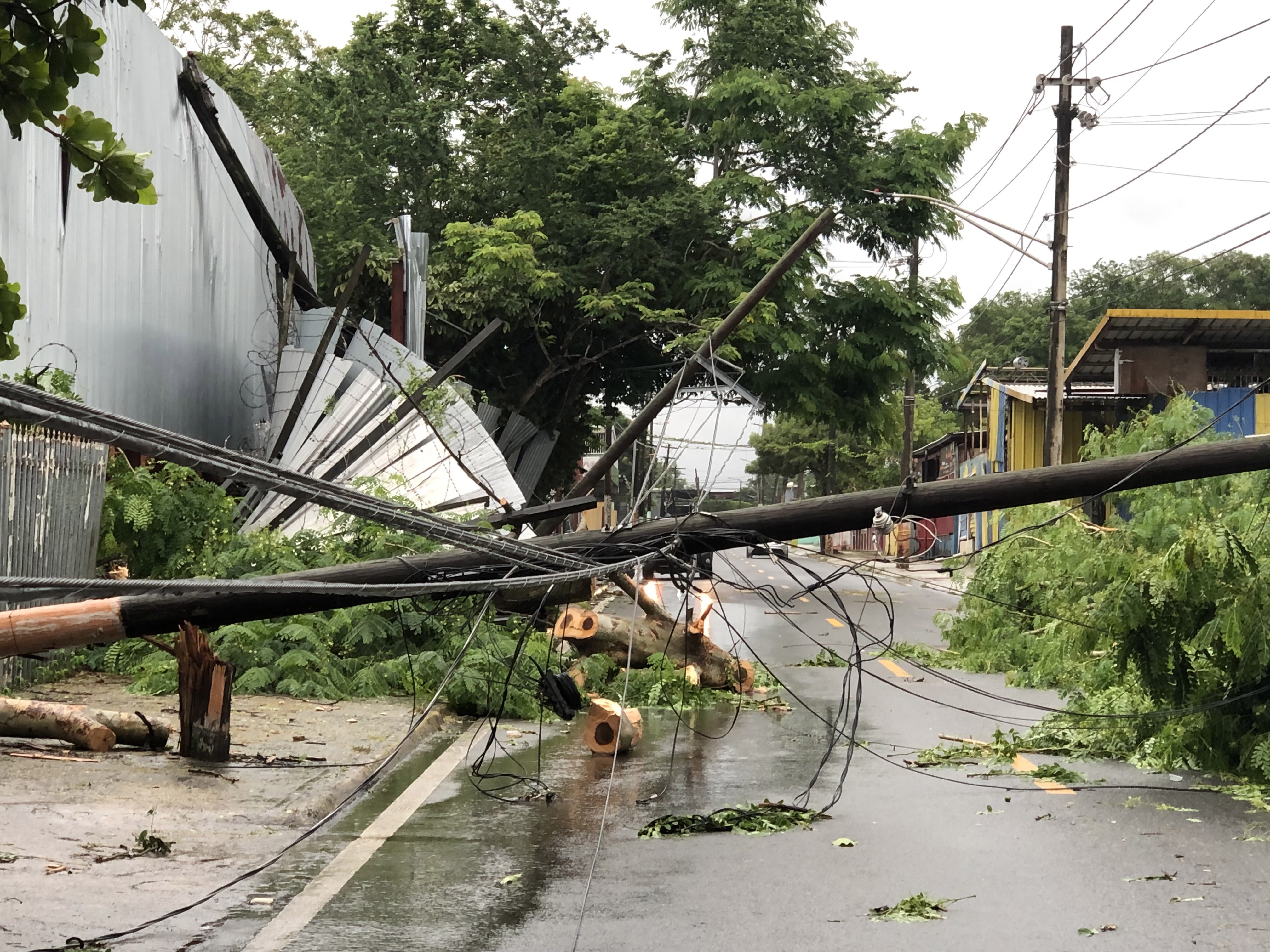 A downed power line near San Juan, Puerto Rico. The entire island lost power today as the hurricane swept through
