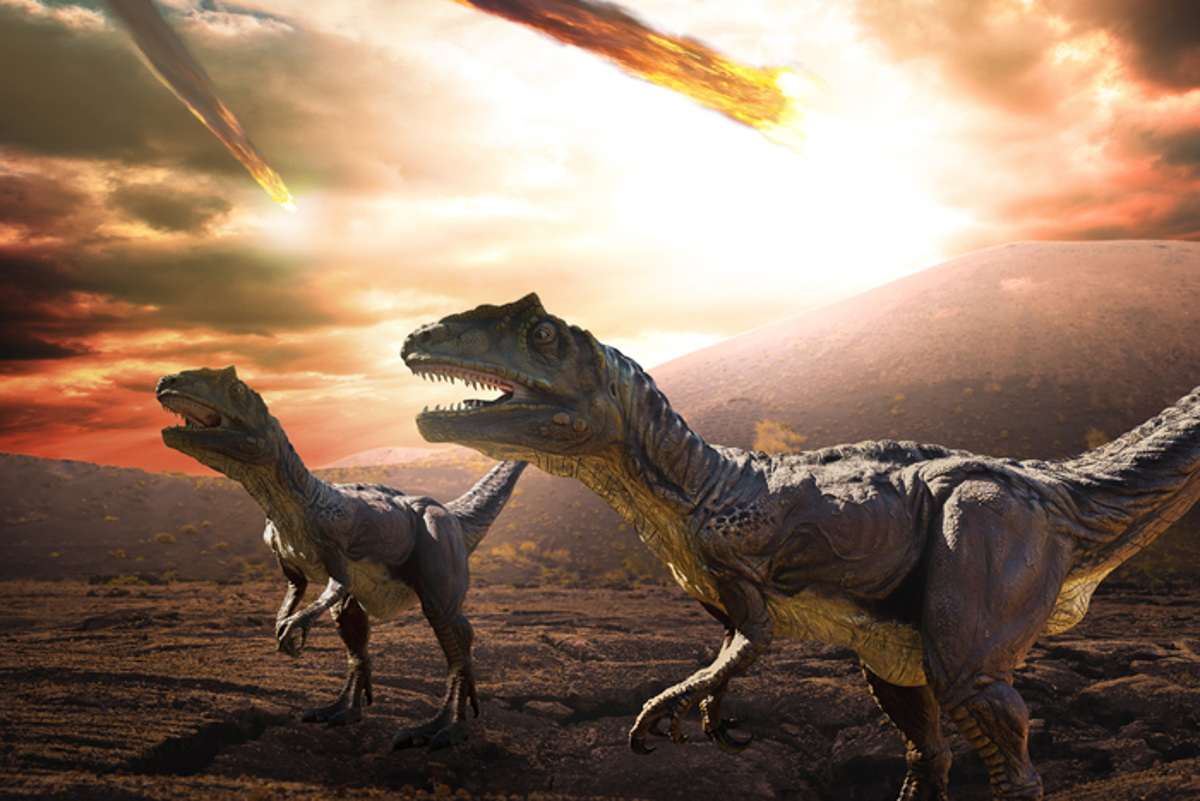 Dinosaurs were already in decline before asteroid impact, scientists reveal