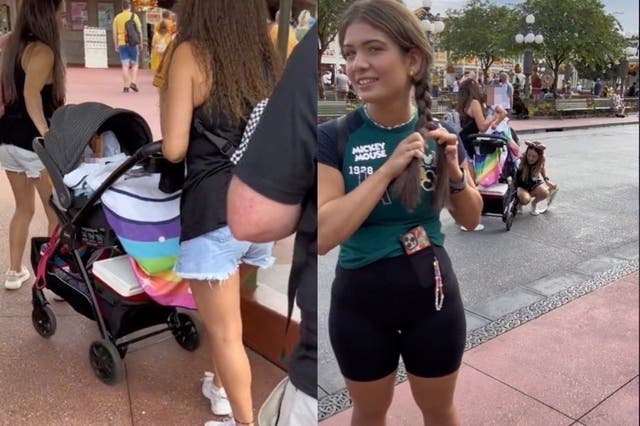 <p>TikTok shows visitors to Disney Park enter with child in baby stroller to avoid paying admission fee</p>