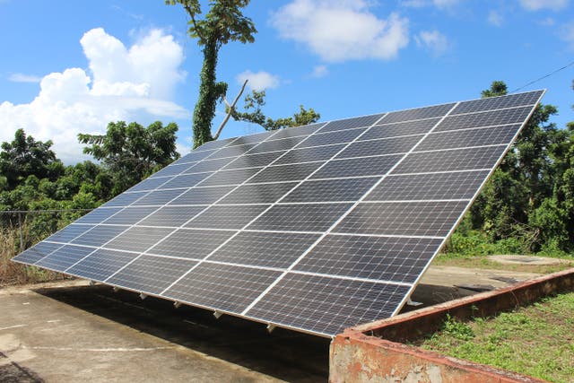 <p>A solar panel array in Hucamcao, Puerto Rico in 2018. The panels have sprung up around the island in the wake of Hurricane Maria’s destruction</p>