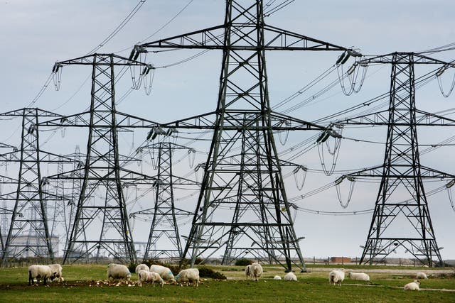 Electricity pylons (Gareth Fuller/PA)