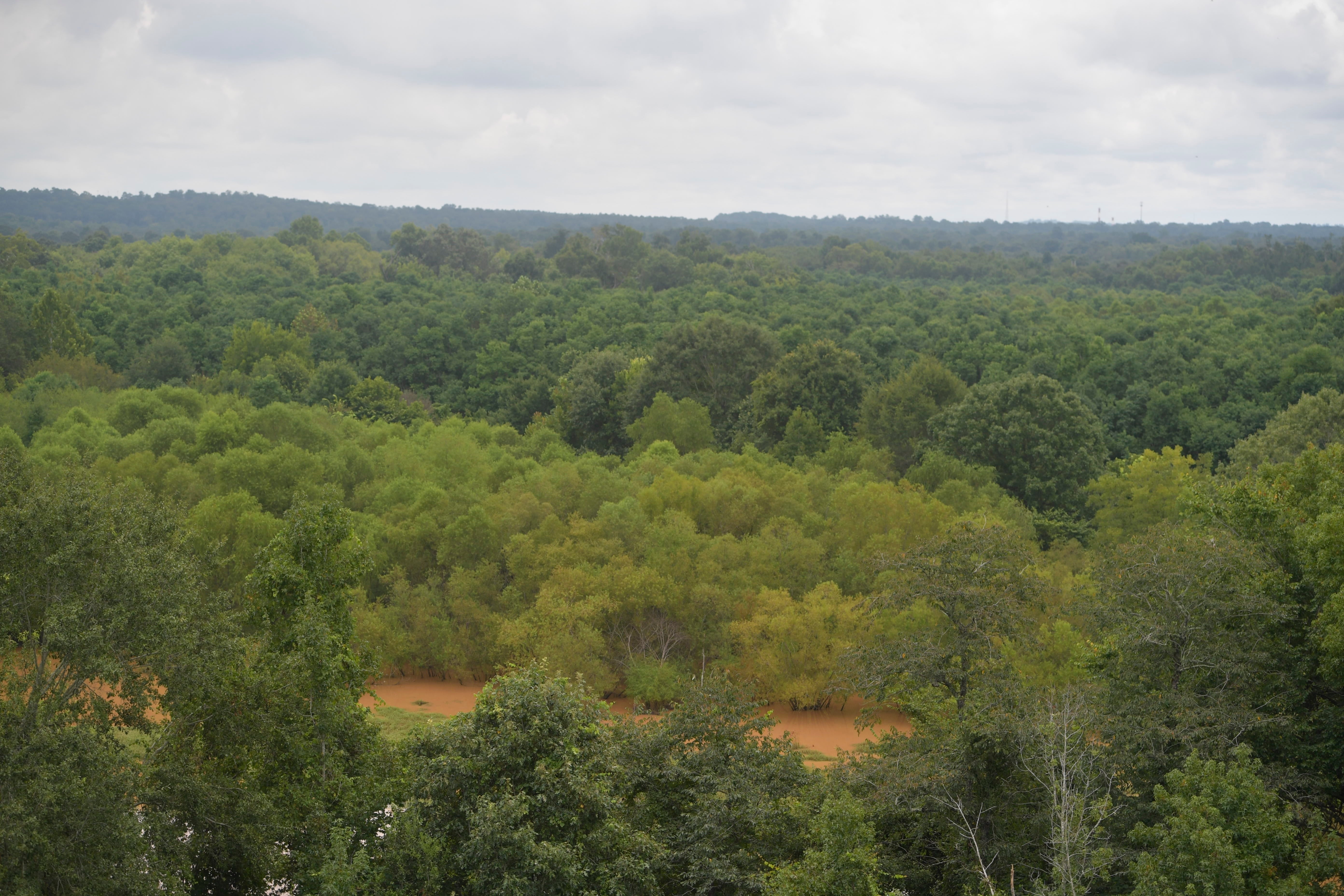 Ocmulgee National Park