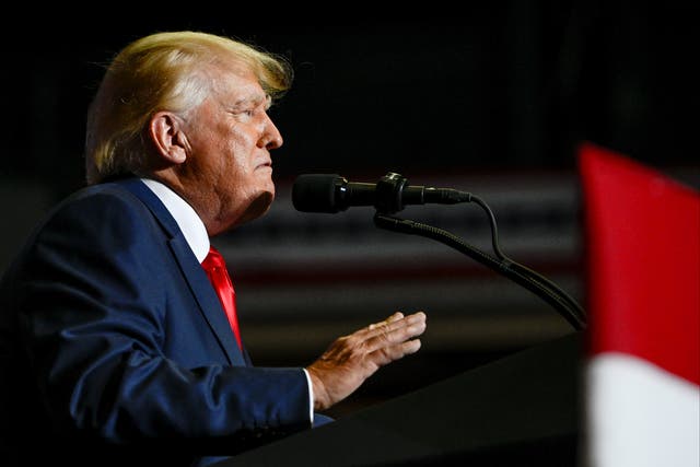<p>Former US president Donald Trump speaks during a rally in Youngstown, Ohio</p>