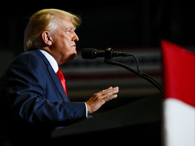 <p>Former US president Donald Trump speaks during a rally in Youngstown, Ohio</p>