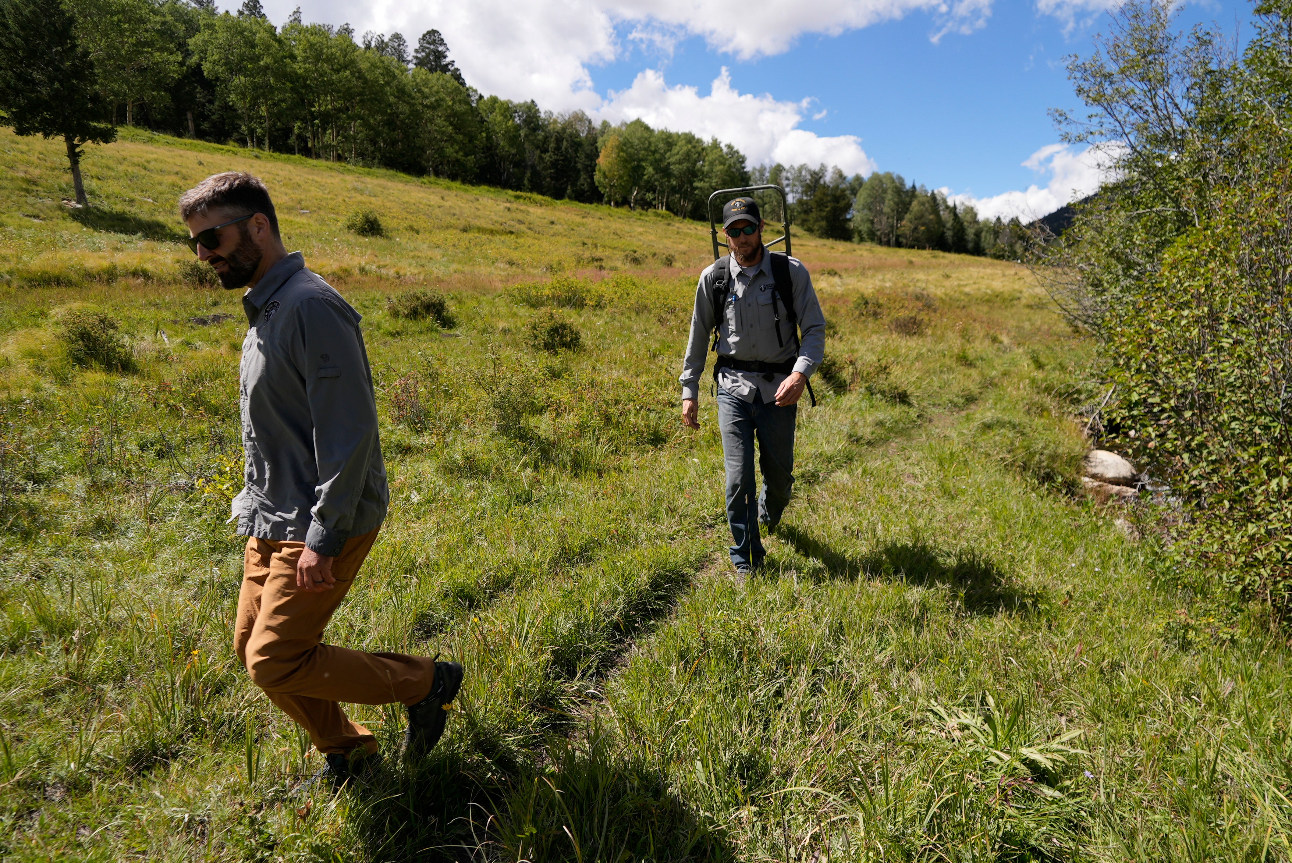 Wildfires Fish at Risk