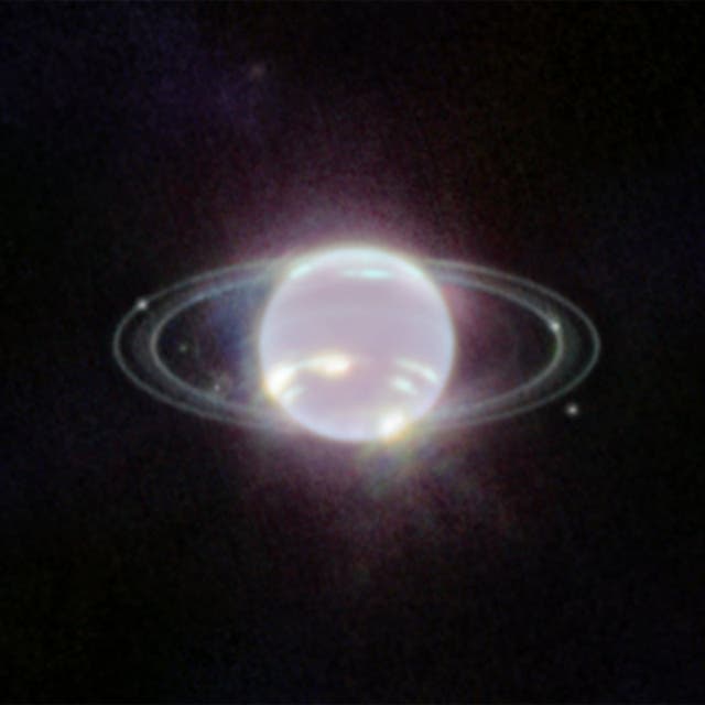 <p>The planet Neptune glows ethereally in infrared light in this James Webb Space Telescope image. The halo around the planet is Neptune’s seldom seen ring system.</p>