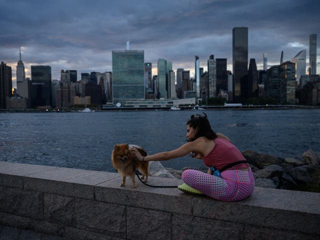 <p>A woman sits with her dog before the UN headquarters building during the 77th session of the United Nations General Assembly</p>