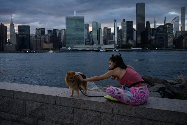 <p>A woman sits with her dog before the UN headquarters building during the 77th session of the United Nations General Assembly</p>
