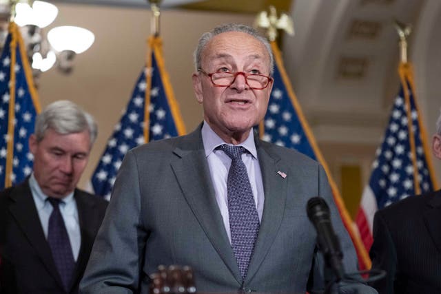 <p>Senate Majority Leader Chuck Schumer at a press conference on Tuesday</p>