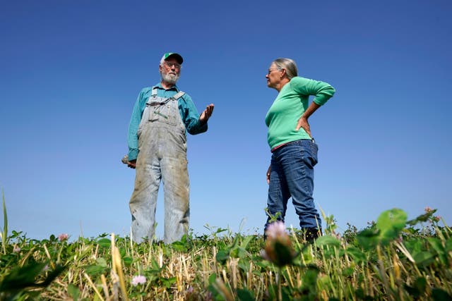 Organic Farmers Wanted