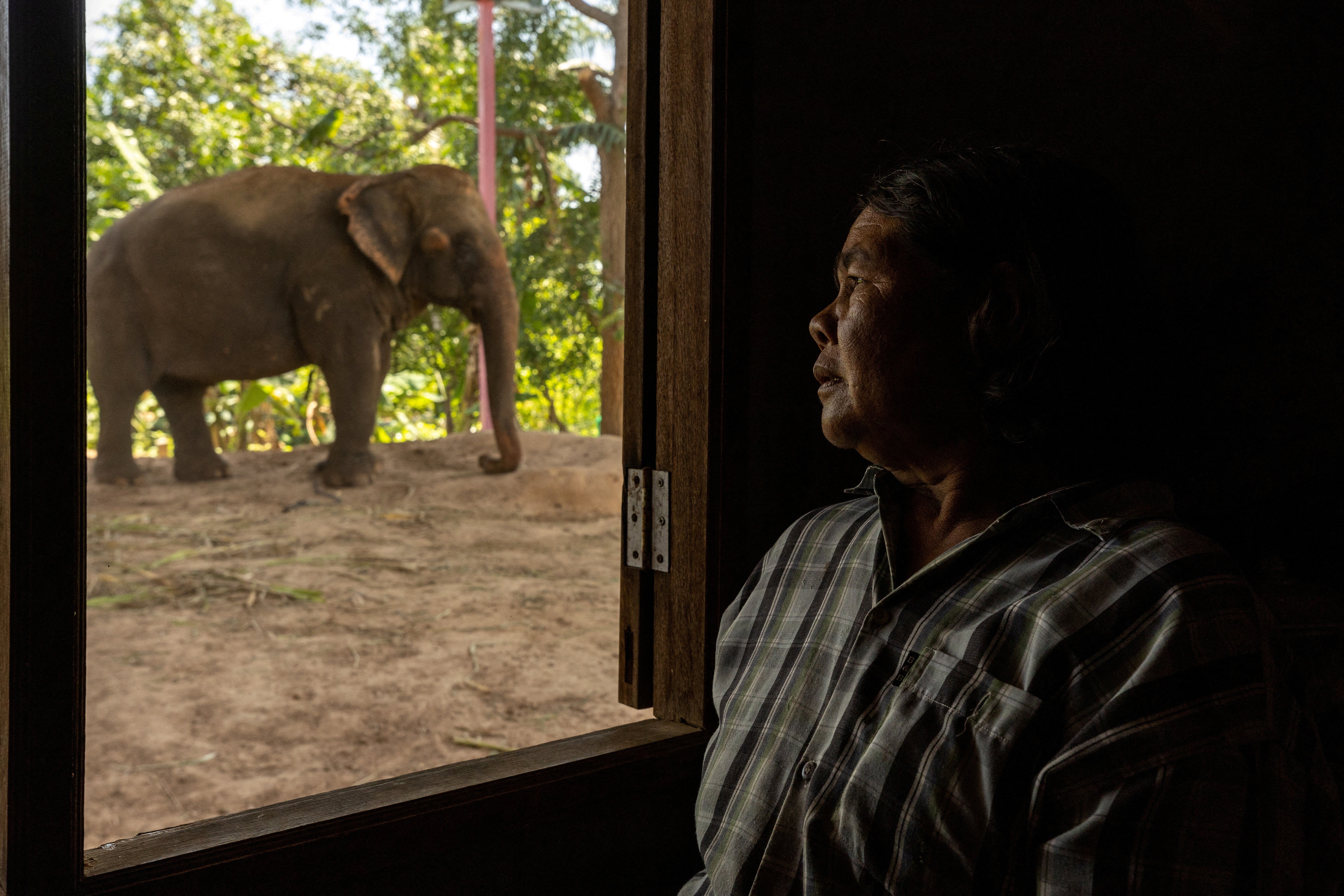 Pensri Sapmak sits inside her house as one of her elephants rests out back in Ban Ta Klang elephant village