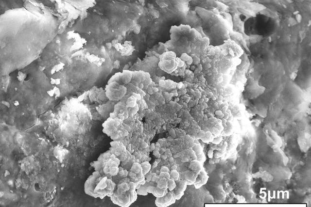 La imagen de microscopía electrónica muestra cristales de forma similar a los corales de mesa encontrados en la superficie de la muestra del asteroide Ryugu
