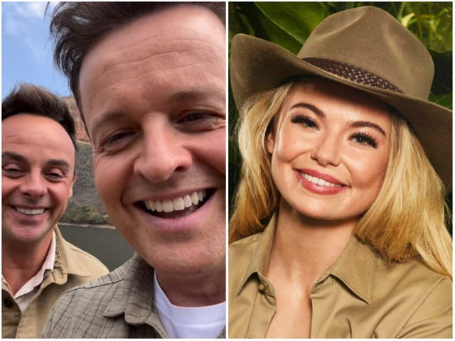 <p>I’m a Celebrity</p>