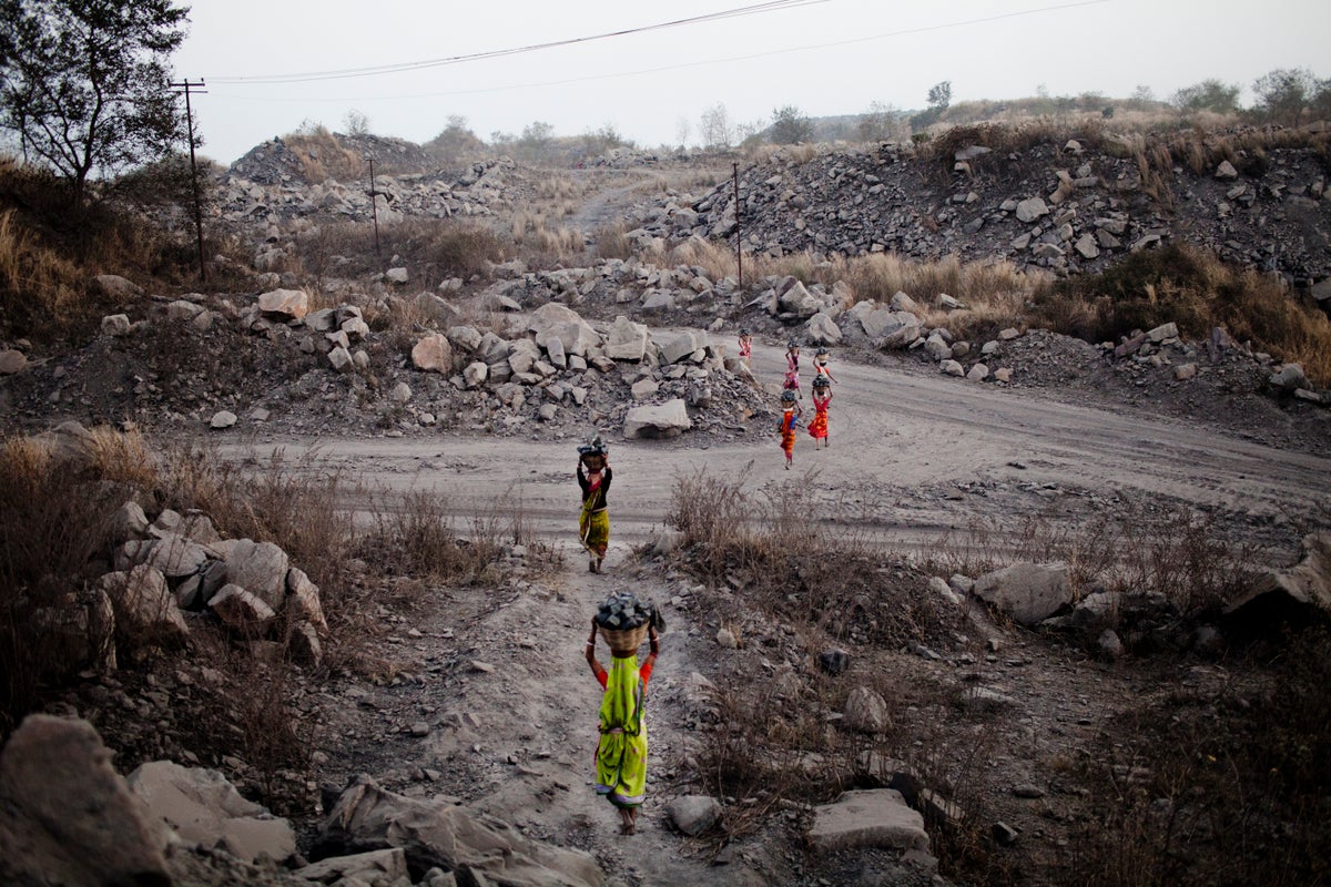 India can cut electricity costs by 40% by moving to renewables and slashing coal, study says