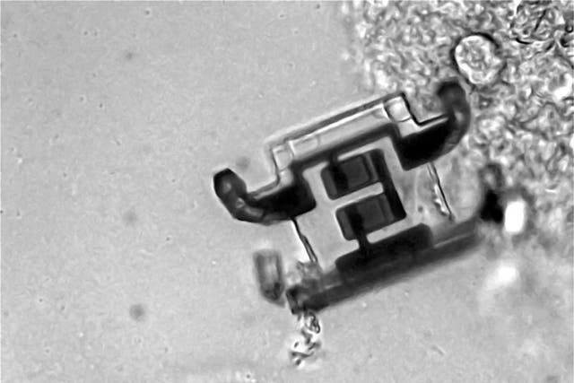 <p>Solar-powered microrobots that measure 250 micrometres in size can walk without external control</p>