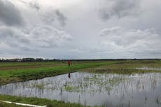 Government launched ‘attack on nature’ with mini-budget, conservationists warn