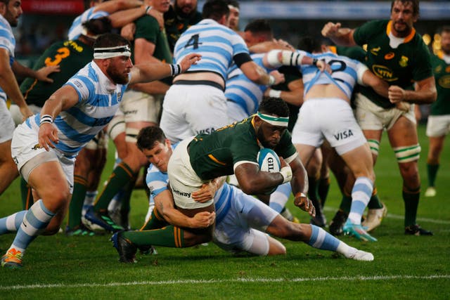 <p>Springboks skipper Siya Kolisi went over for a try but South Africa fell short of the Rugby Championship title </p>