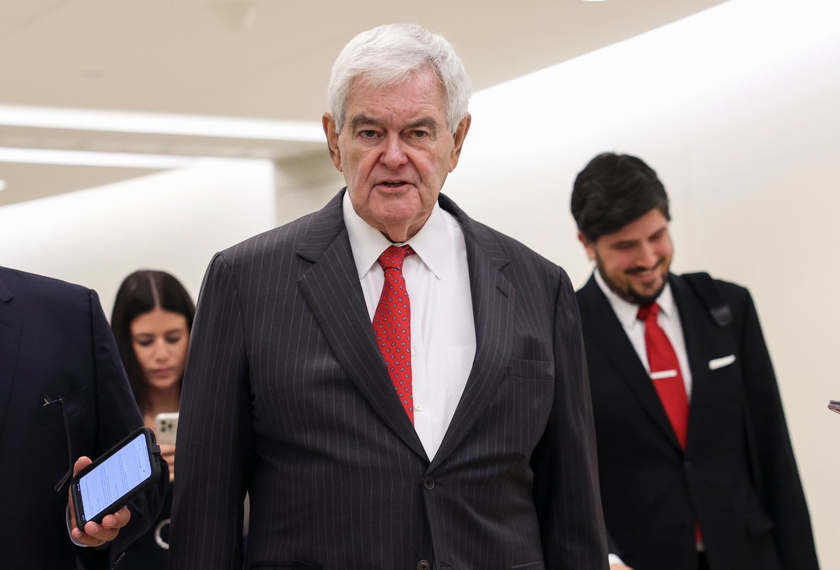 Newt Gingrich tells reporter ‘you have a learning disability’ in exchange over Jan 6 probe