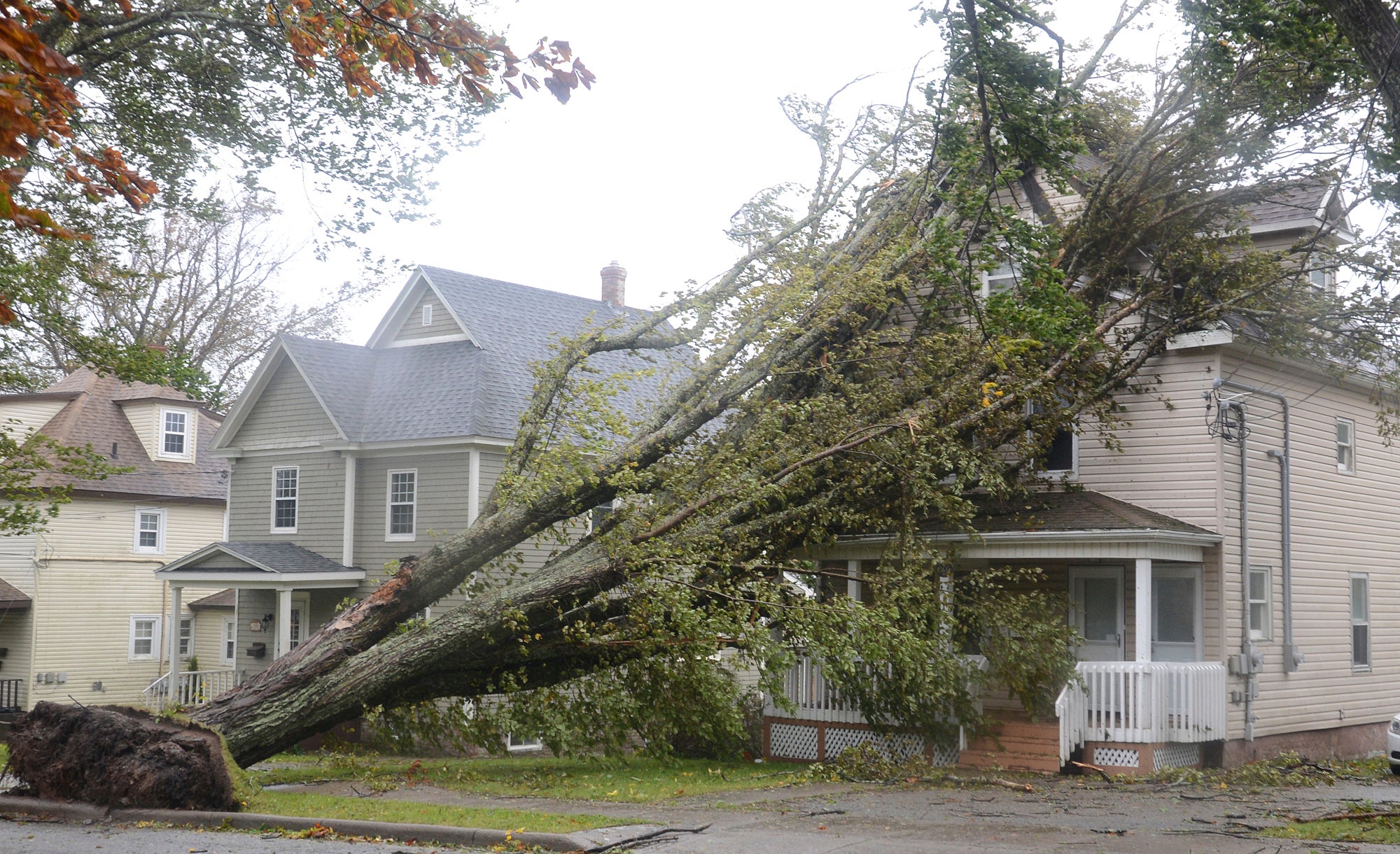 Fallen trees lean against a house in Sydney, Nova Scotia, as post tropical storm Fiona batters the area