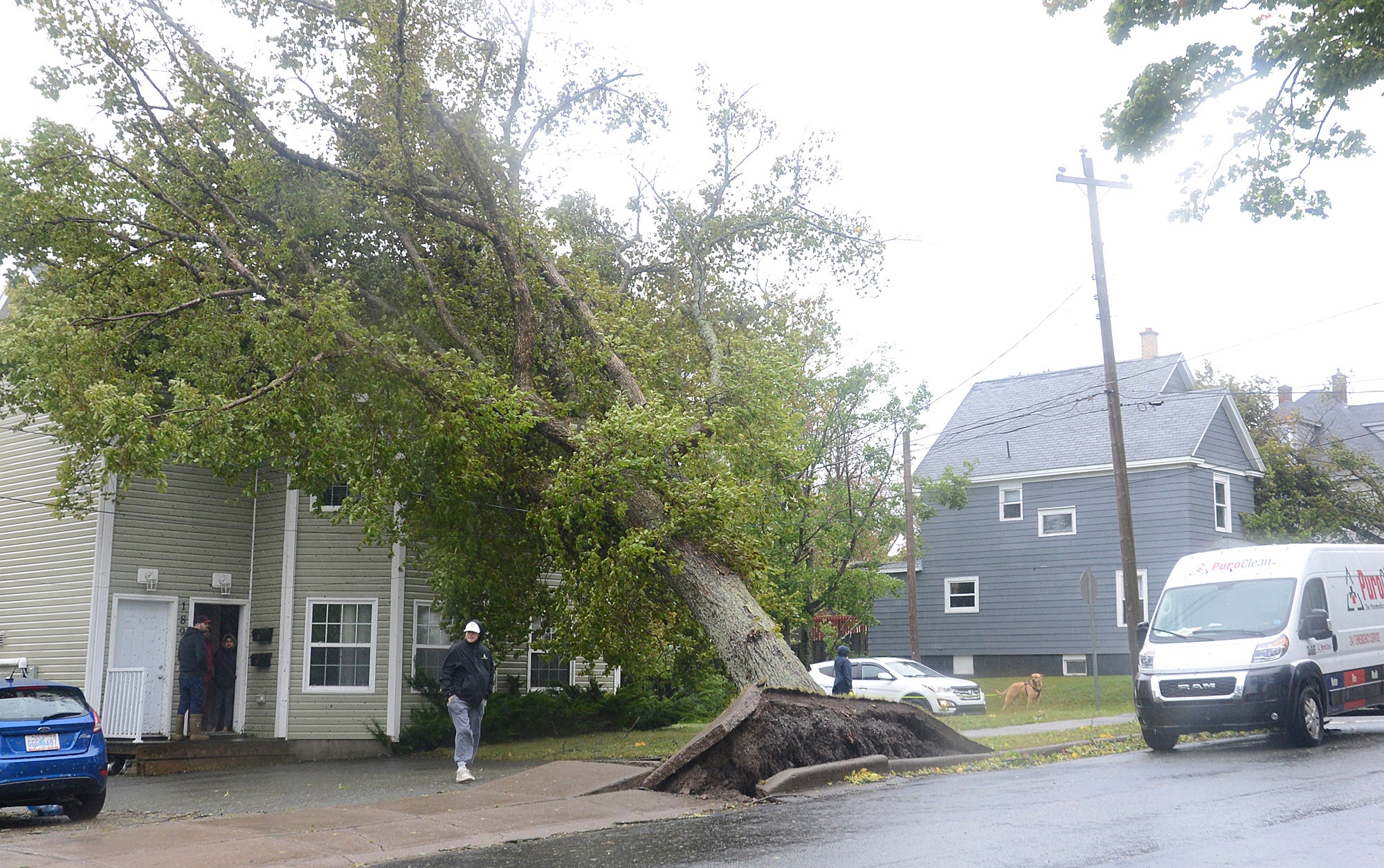Tropical Weather Canada