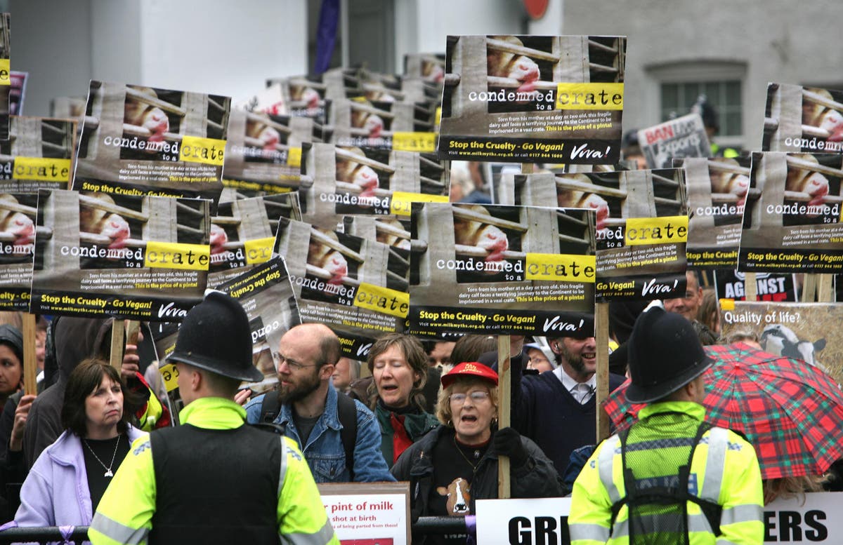 Voices: Tin-eared Truss is about to embark upon the greatest betrayal of animal rights imaginable