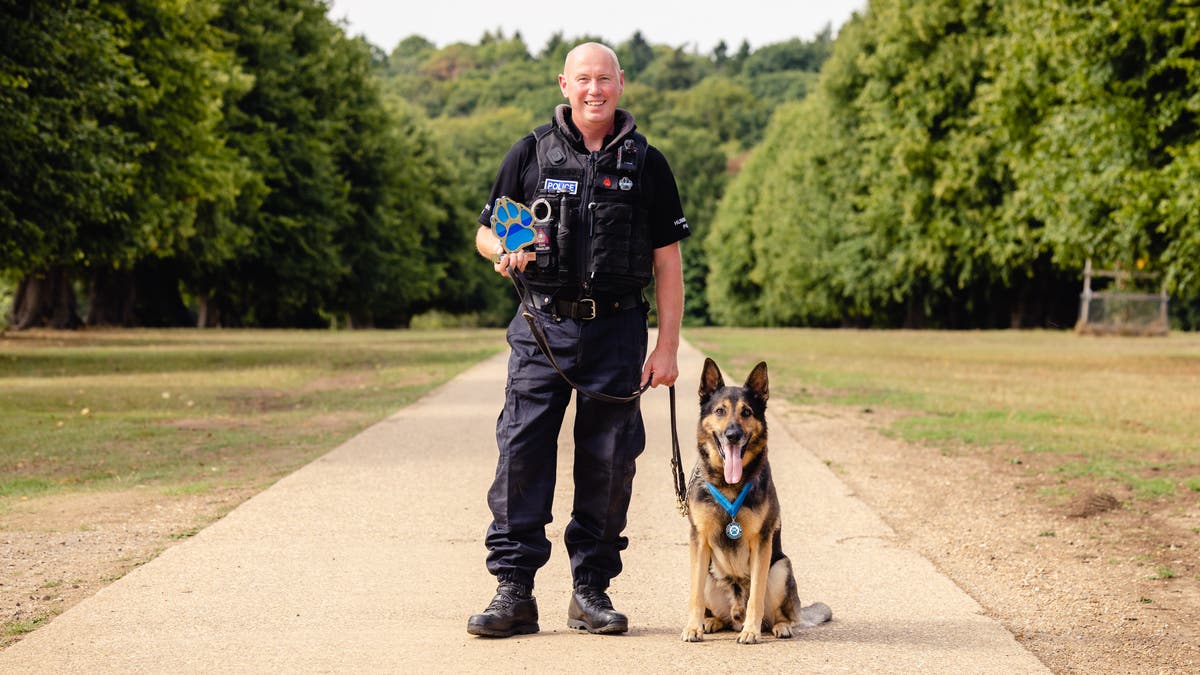 Retired Humberside Police dog shot three times in the face wins lifetime award