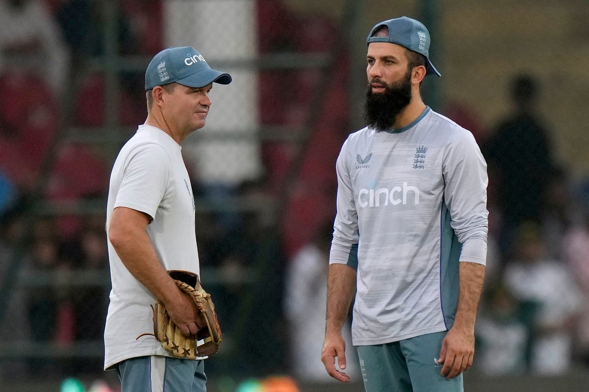 ‘We should’ve won but pressure happens’ – England captain Moeen Ali on T20 loss