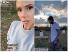 ‘Gonna mark it out of 10’: Victoria Beckham jokes about ‘David’s sticky stuff’ in hilarious TikTok