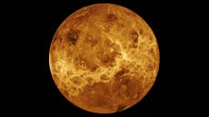 Astronauts should visit ‘hellish’ Venus before going to Mars, experts suggest