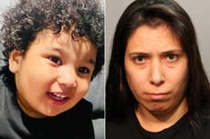 Three-year-old boy dies days after aunt charged with shoving him off Chicago’s Navy Pier into Lake Michigan