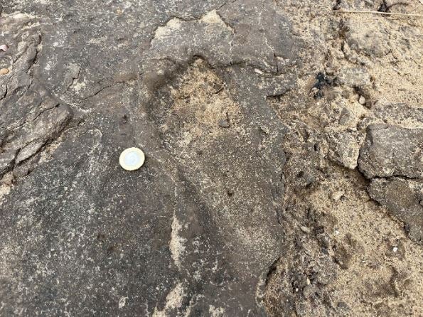 <p>A human footprint in the ancient mud on Formby beach radiocarbon dated to about 8,500 years ago</p>