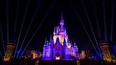 ‘Shameless’: Disney visitors sneak in children in pram to avoid soaring entry fees
